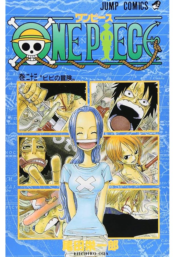 One Piece Vol. 22 | Amazon.com.br